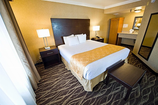 Hotel d'Lins Ontario Airport image 10