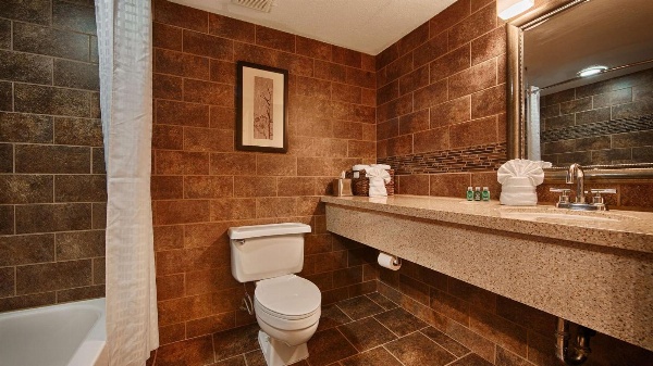 Hotel d'Lins Ontario Airport image 18