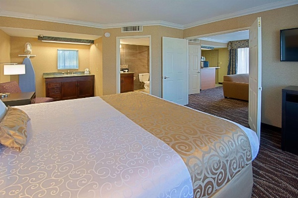 Hotel d'Lins Ontario Airport image 20