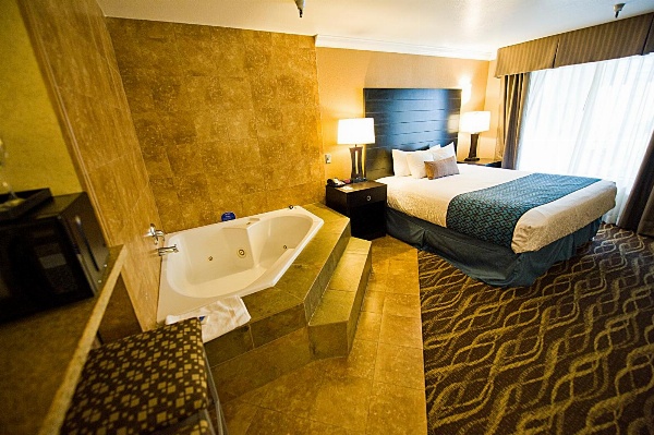 Hotel d'Lins Ontario Airport image 3